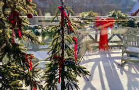 SalviaMontis - Foto 4