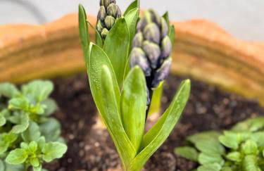 Alte Wassermühle - Foto 13