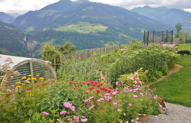 Snug Farmhouse in Taxenbach near Cross Country Skiing - Foto 18
