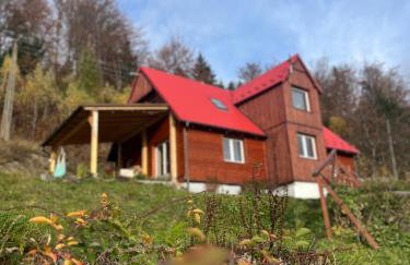 Przysiółek Flądrówka - Dom na odludziu z widokiem na Gorce i Tatry - Foto 12