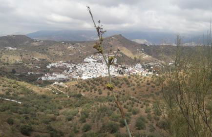 Villa yasleni - Foto 55