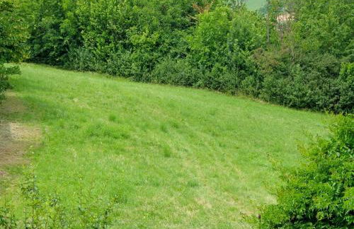 Apartment in Casale with Panoramic Vineyard Views - Foto 34