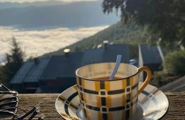 Chalet 6-8 pers St Lary Alt1700m -100mdespistes classé 4 étoiles - Photo 14