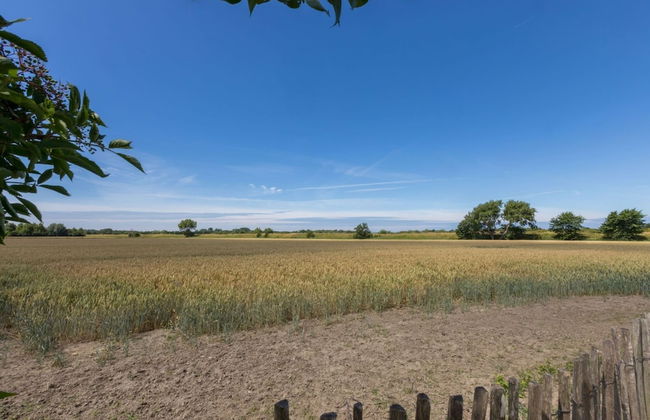 Tiny House in Zeeland Near Oranjezon Dunes - Photo 37