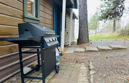 Cozy Cabin with Coeur d'Alene Lake views - Foto 9