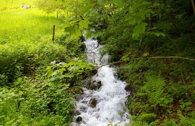 Tasteful Apartment in Elzach-yach - Foto 15