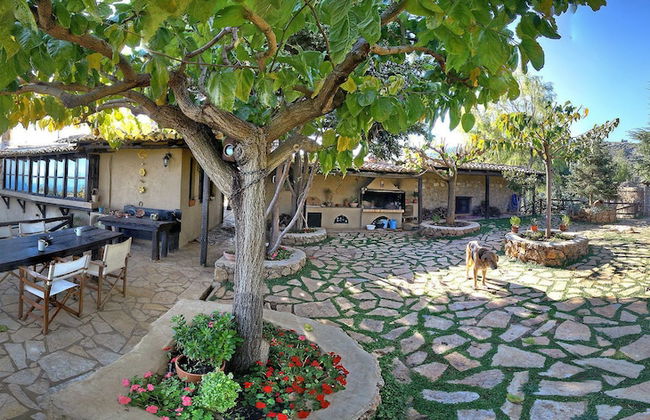 Ampelos Estate - Foto 20