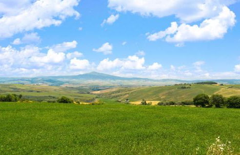 Pet Friendly Apartment - Foto 9