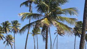 village na praia do forte - Foto 1