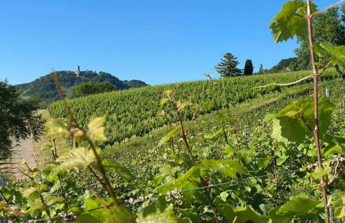 Acapella Suite Adagio 54qm, direkt am Weinberg, Altstadt, Netflix inklusive - Foto 31