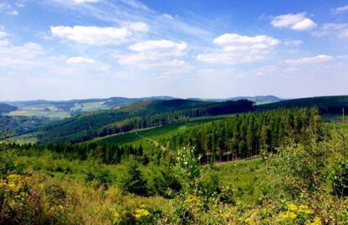 Ferienwohnung Little Home in Winterberg-Neuastenberg - Foto 32