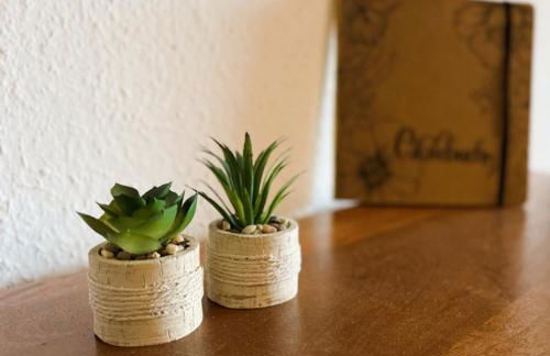 Ferienwohnung Aigisblick mit Pool und Sauna, direkt am Skihang - Foto 5