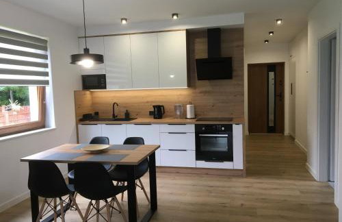 Apartamenty Black&White Lubawka - Domek z ruską banią i sauną - Foto 22