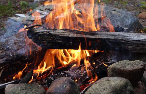 Ferienhaus am See mit Ruderboot - Photo 41