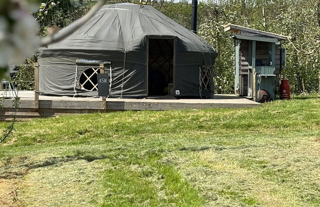 Dragon Orchard Retreat - Photo 33