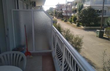 Dionisos Elia - Foto 18