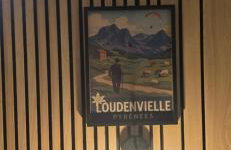 Les reflets du lac detente et nature à Genos-Loudenvieille classé 4 étoiles devant le lac avec jardin - Photo 29