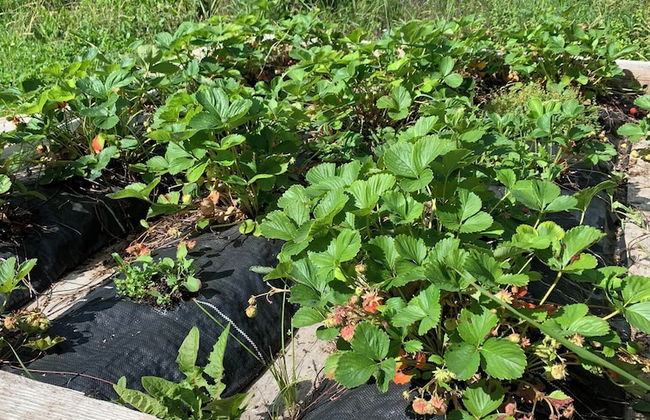 Charming Property With Private Pool - Foto 62