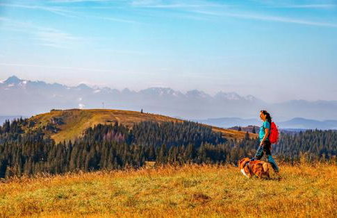 Ferienhaus Vogelsang - Foto 43