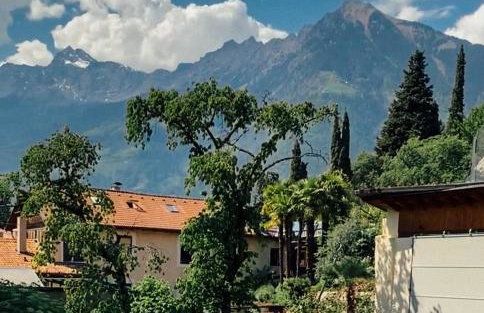 Franz Haus Apartments - Foto 10