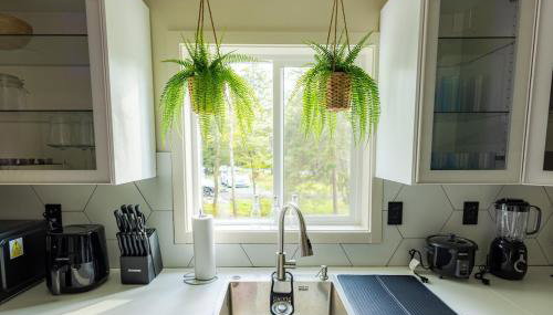 Deer Trails Retreat -Pocono Getaway Near Kalahari - Foto 5