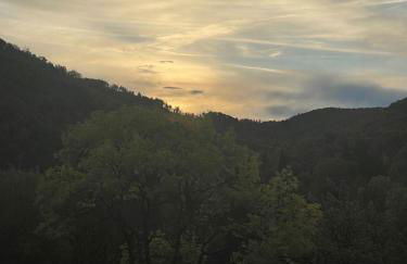 Schöne Aussicht - charmante Ferienwohnung mit Pool und Sauna in Bad Harzburg - Foto 28