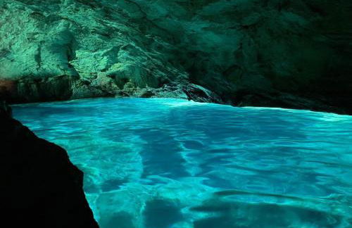 Gli Ulivi di Gino - Foto 74