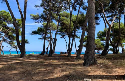 Canyamel modern apartment pool & 360º roof-terrace in 3rd floor letter A - Foto 61