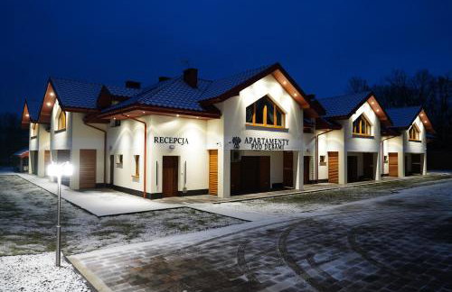 Apartamenty pod Dębami - noclegi Beskid Niski - Foto 46