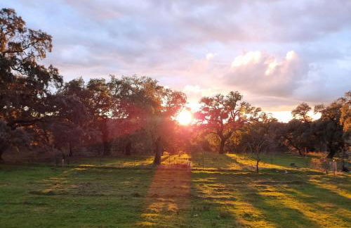 Corteganillas - Foto 26