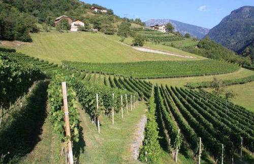 Haus Alpenblick Apt Edelweiß - Foto 28