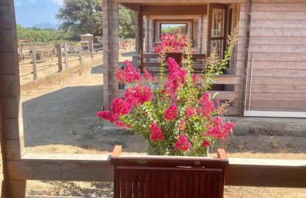 Les Chalets de Tesa - Foto 48