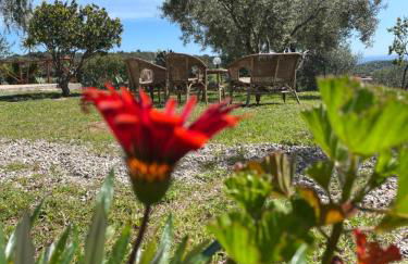 Domus de Goene - Foto 28