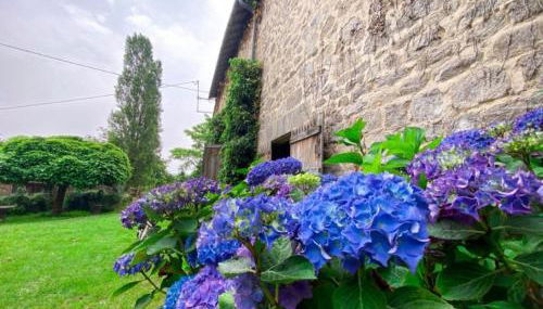 Gite le Onze beauval - Foto 4, Garden