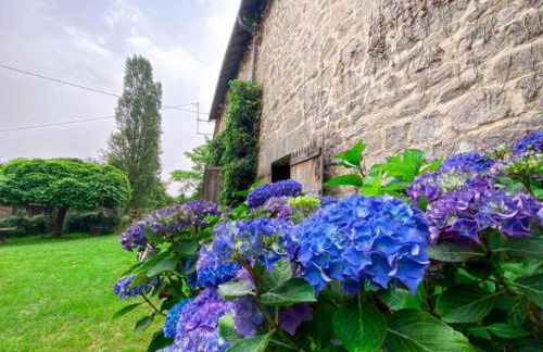 Gite le Onze beauval - Foto 4