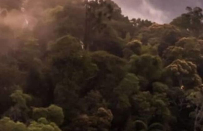 Vivo by Plush - Photo 2