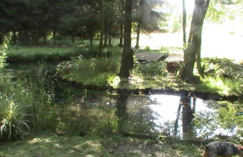 Gîte de la baerenbach - Photo 15