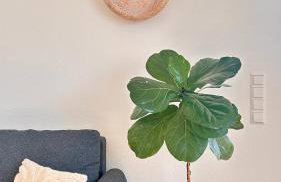 AMAO-Obsidian - Spacious Apartment - 8 Guests - 2 Parking Spaces - Photo 4