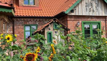 Osada Między Drzewami - Foto 1, Garden