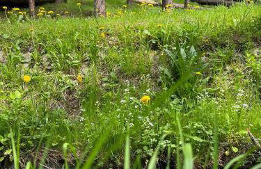 Domki letniskowe pod Brzozami Stella - Photo 37