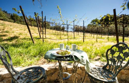 Serene Vineyard Chateau with Pool, Hot Tub, BBQ - Foto 56