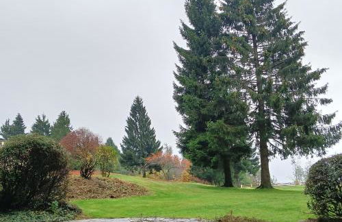 Berghof Studio Haus Rachel mit Pool - Foto 13