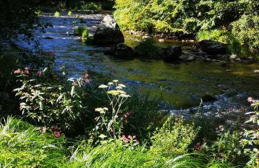 Ferienwohnung Anita Benz - Photo 20