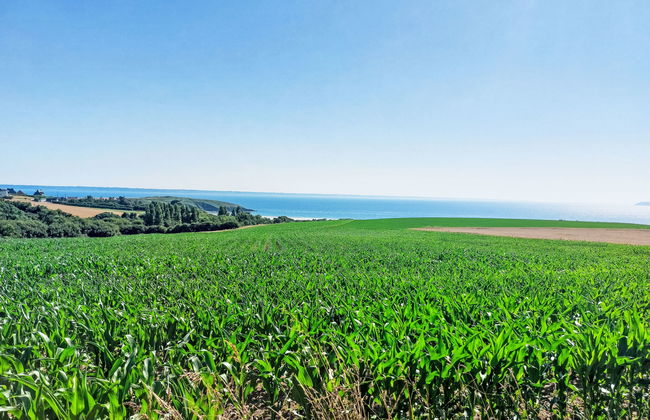 Milin-Avel - Foto 27