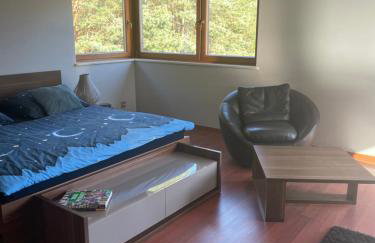 Willa przy lesie - Foto 13