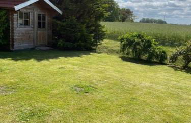 Nordseeküste am Deich mit schönem Garten - Foto 30