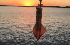 Apartman Lidija - Foto 23