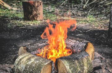 Chatka w lesie - Foto 39