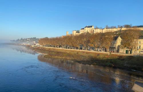 Le Charles VII CHINON - Foto 28