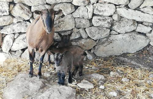 Le Grotte di Sileno - Foto 56